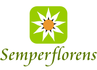 Semperflorens